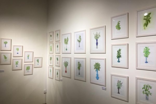 22489775_1696329943742619_3016721874054368051_n